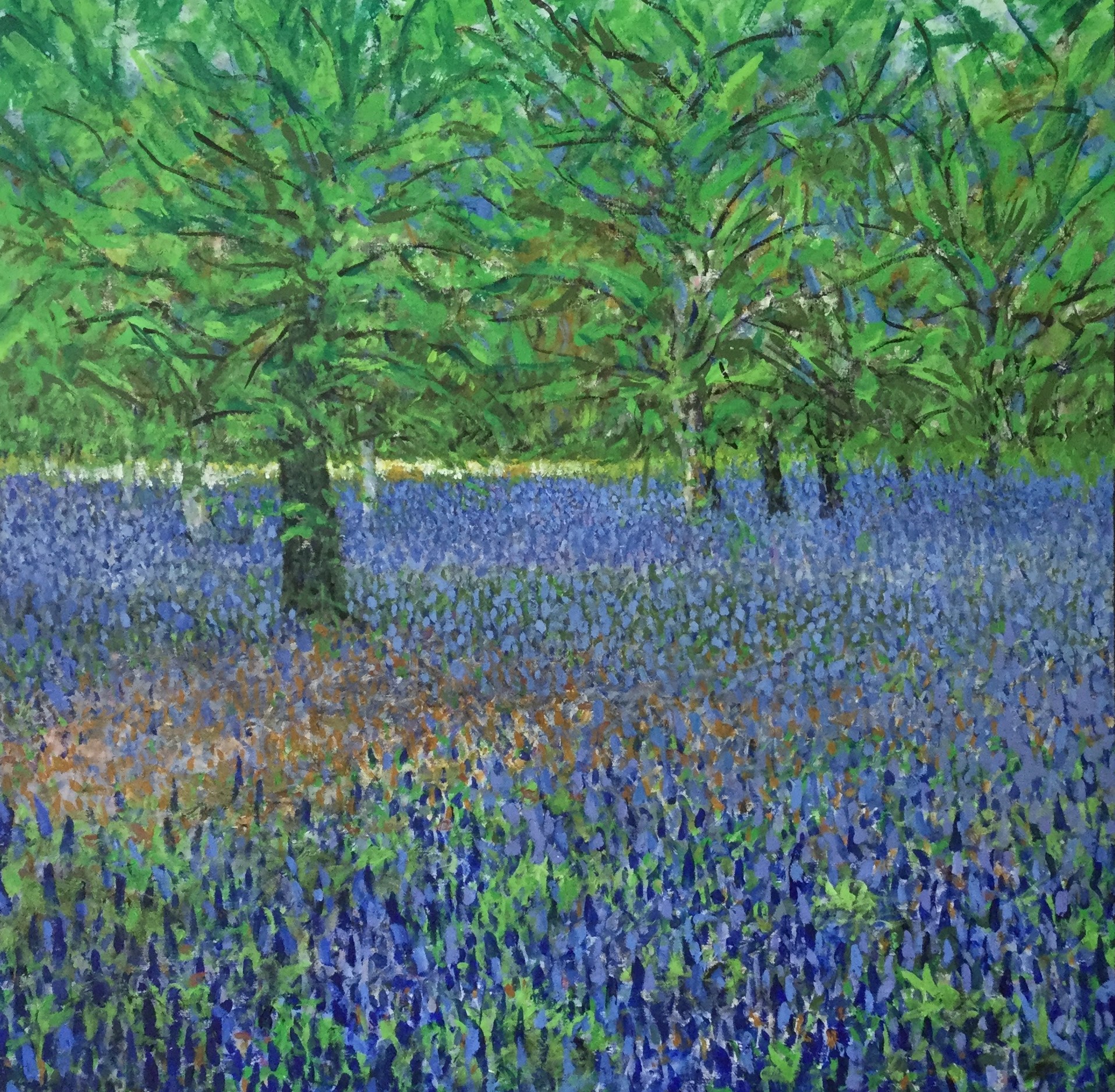 Bluebells 4 by John Milner