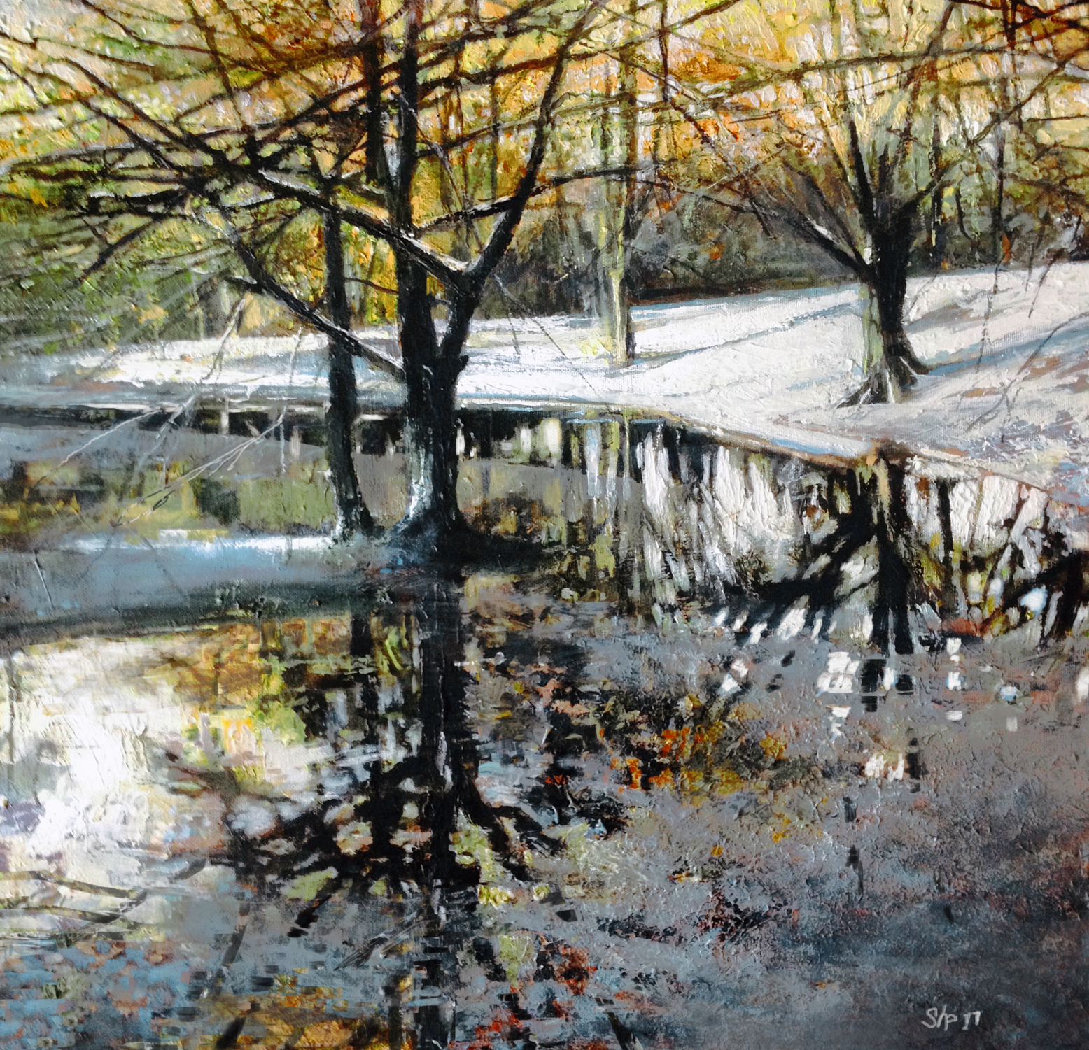 Standing Water, Winter