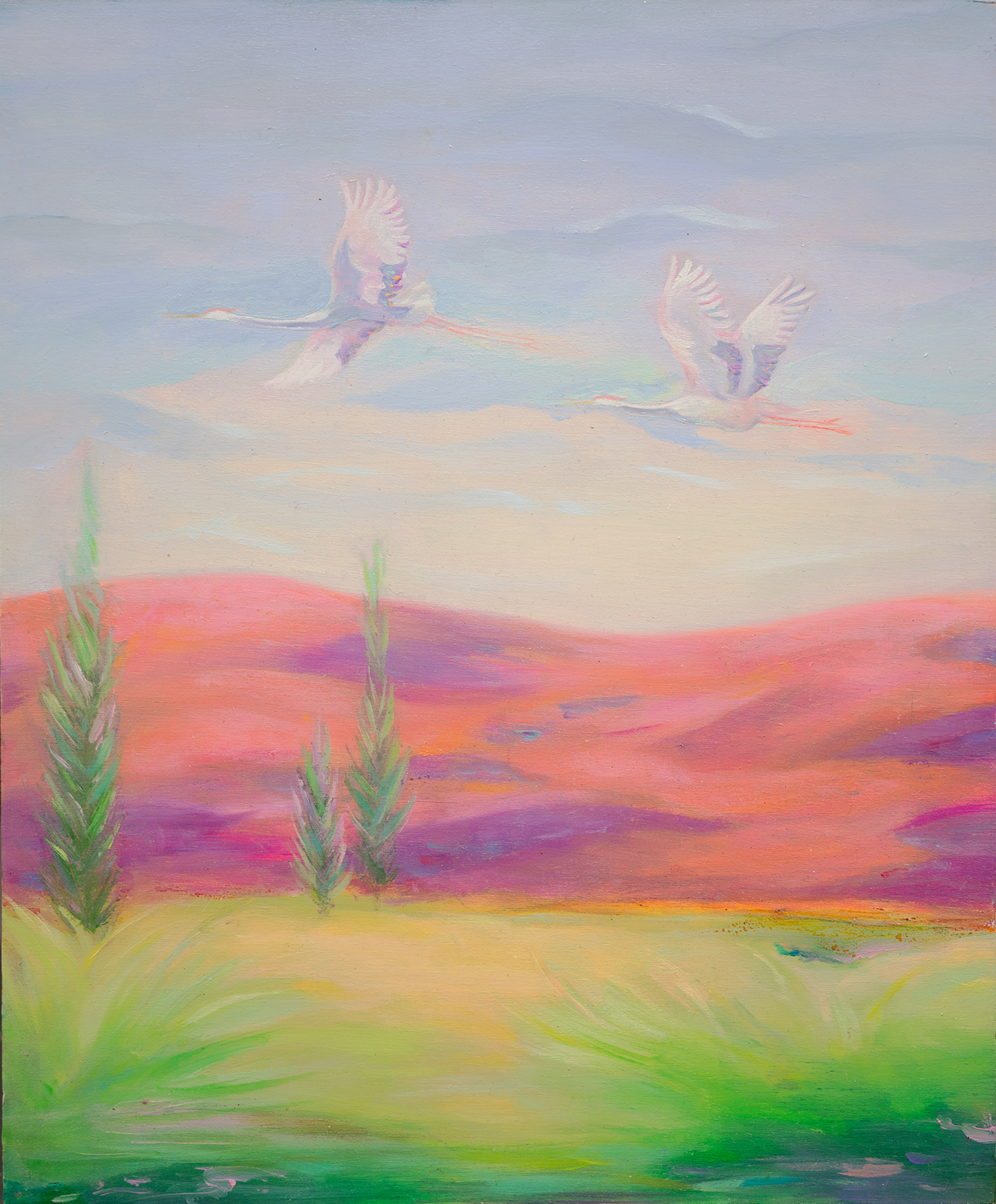 two cranes flying over green grass and om front of pink mountains