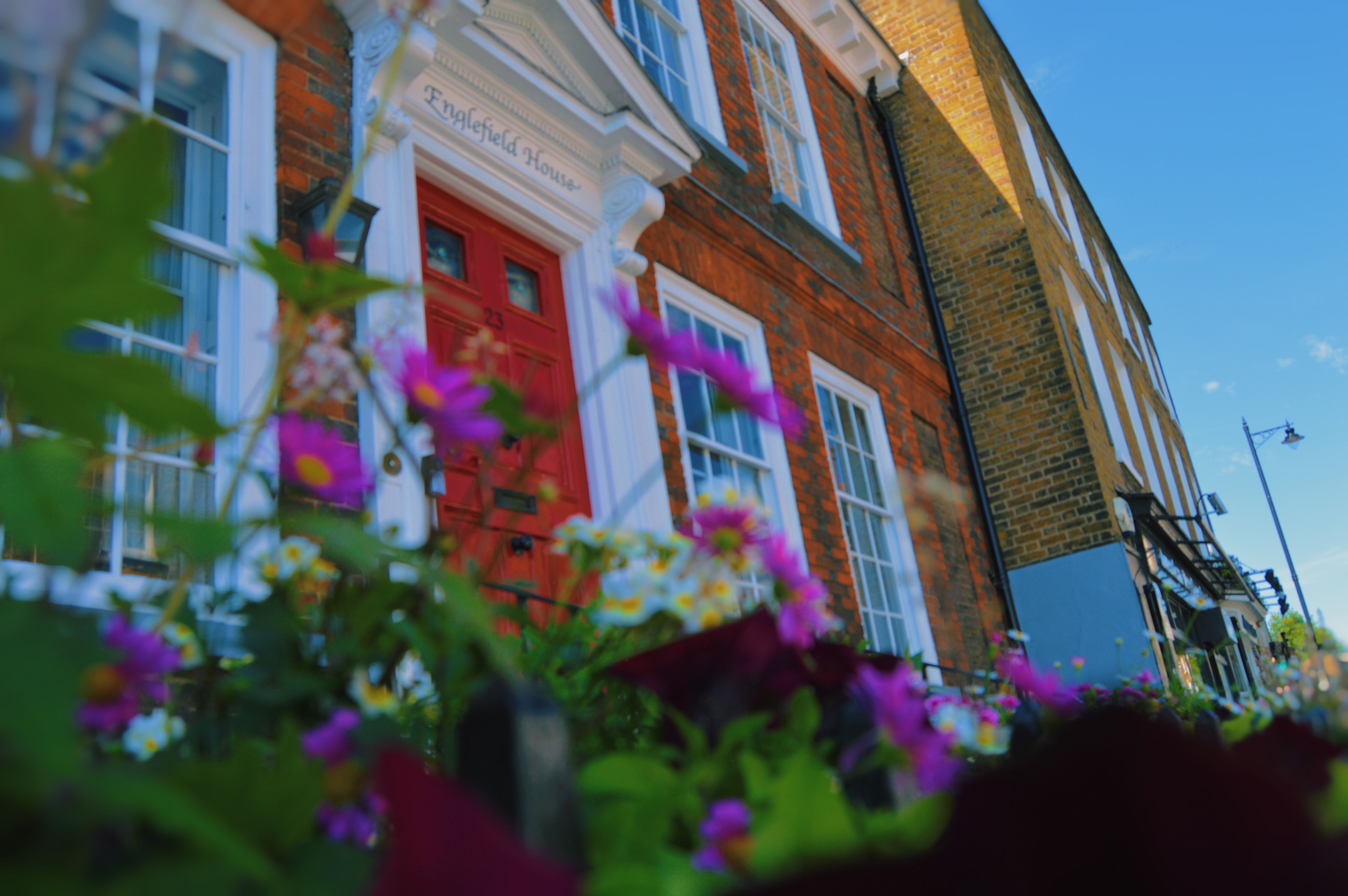 Photo of pink flowers in front of Englefield House by Kevin