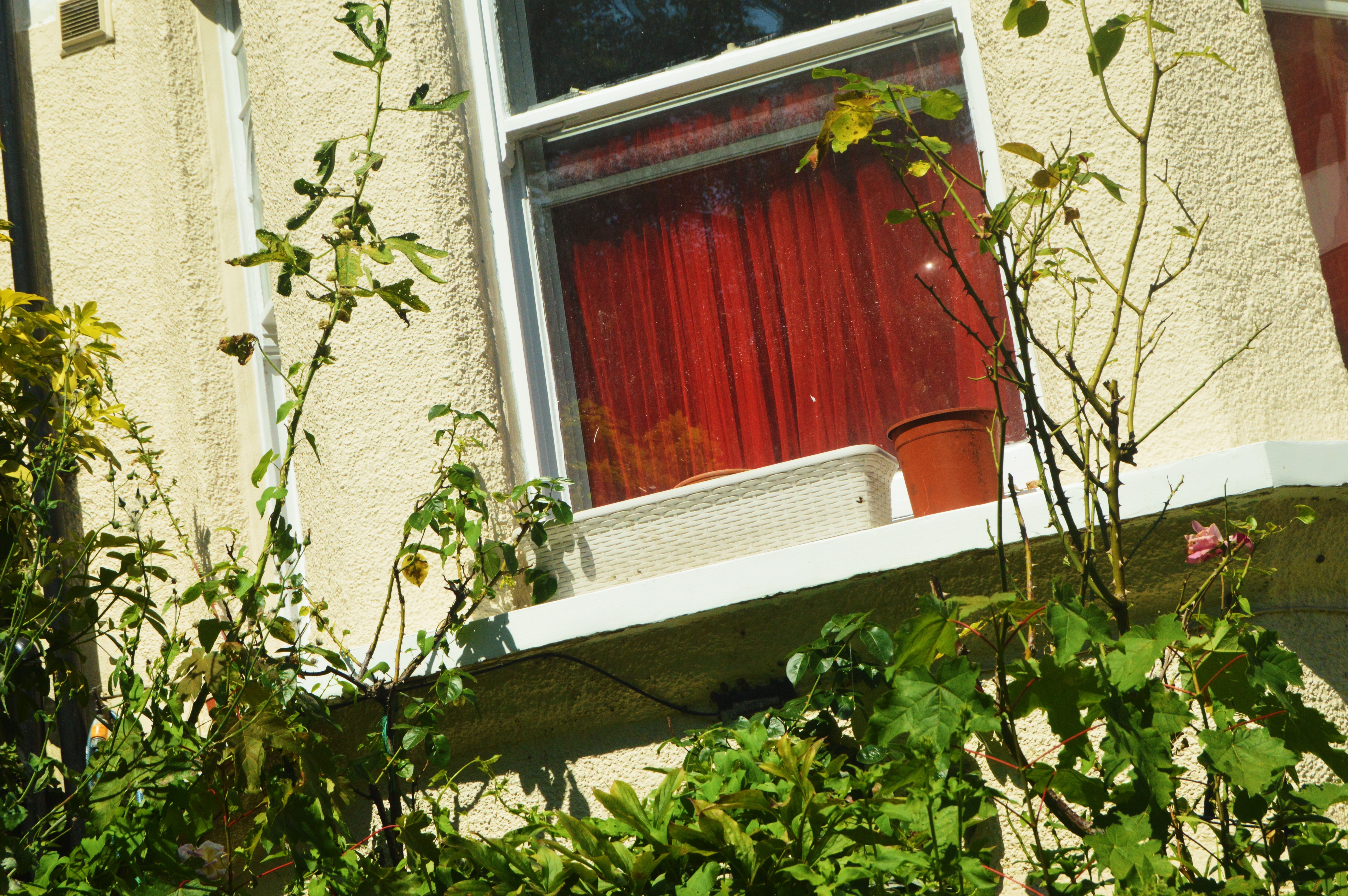 Photo of a window sill and plants at an angle by Lilly