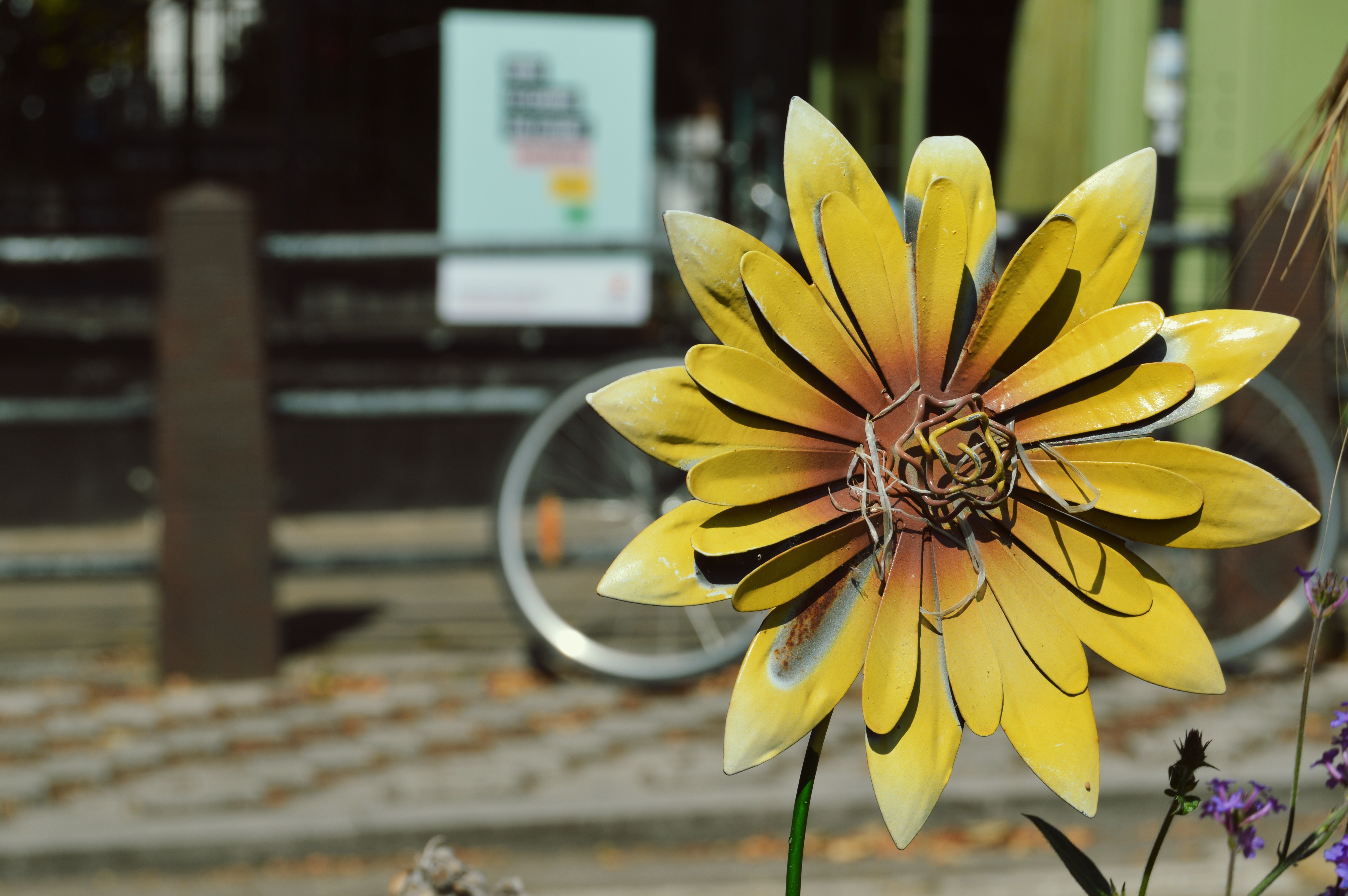 Photo of a metal sunflower decoration by Maria