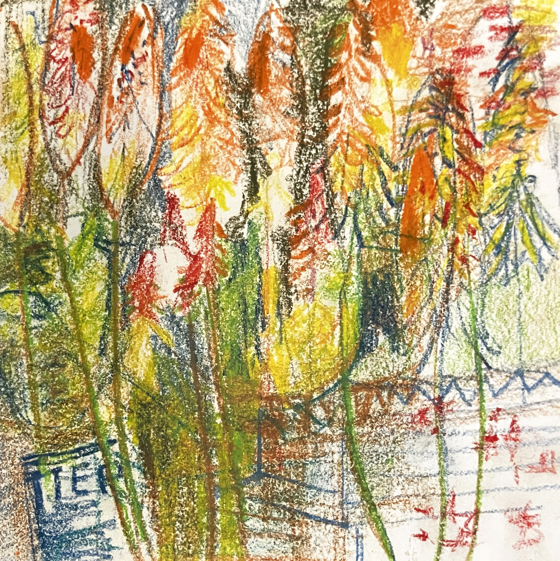 'Warm Trees, Waterlow Park' by Freda Blayney