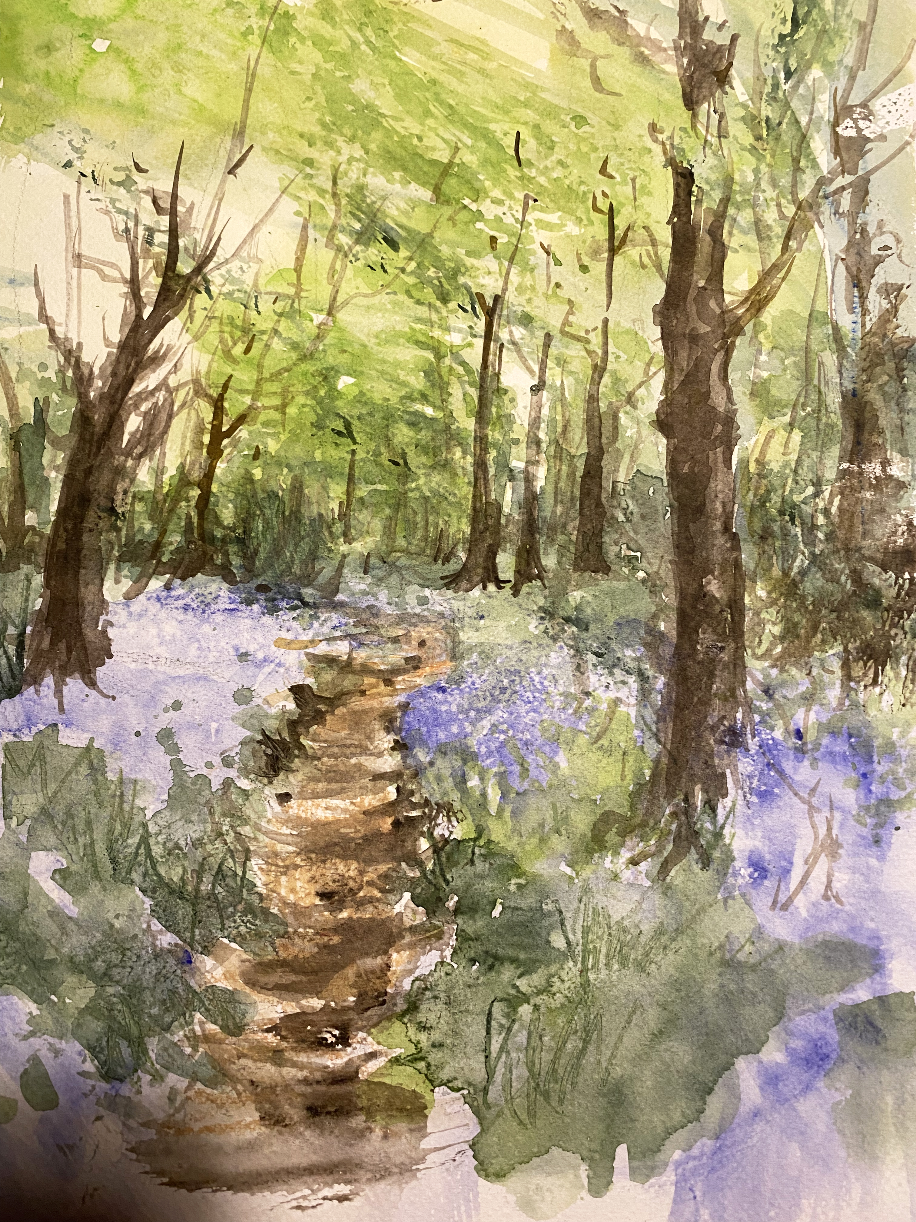 'Walk With Bluebells' by Maureen Bocking